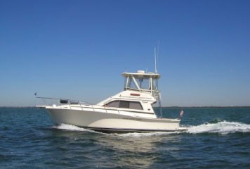 Sportfisher