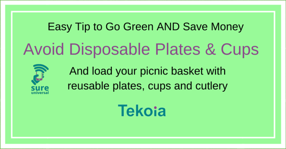 Green tip: Avoid disposable plates cups